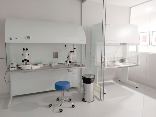 Laboratorio Ginemed Jerez de la Frontera (C�diz) (2)